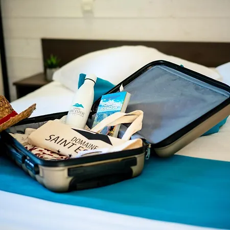 Domaine Saint Esteve Millau