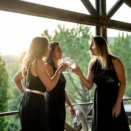 Domaine Saint Esteve 3* Millau