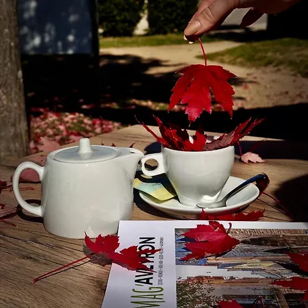 Domaine Saint Esteve 3*