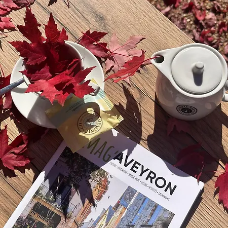 Domaine Saint Esteve Hotel Millau