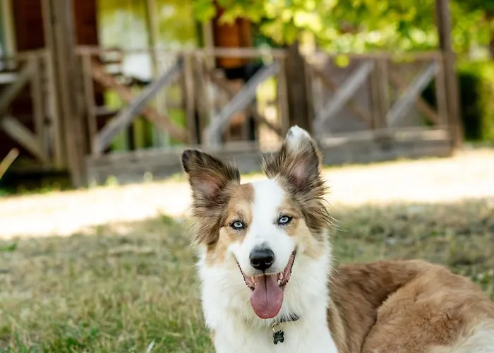 Hotel Domaine Saint Esteve 3*